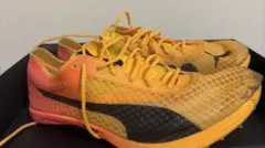 PUMA evoSPEED Distance Elite スパイク 24.5