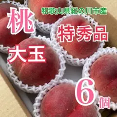 桃(日川)秀品 特大、大玉混合12個 100サイズ化粧箱入り - メルカリ