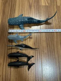 土日限定値下げ　海洋生物　フィギア　5点セット　クジラ　サメ