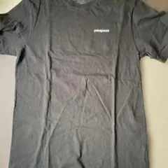 patagonia Tシャツ レギュラーフィット