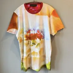 DOLCE & GABBANA ドッキング カットソー 花柄 Tシャツ 46 DOLCE & GABBANA ドッキング カットソー 花柄 Tシャツ 46 - メルカリ