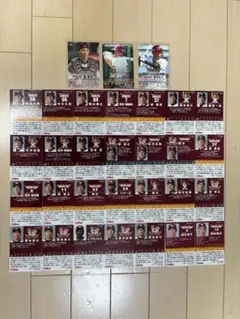 プロ野球チップスカード まとめ売り 東北楽天ゴールデンイーグルス 31枚 キラ有