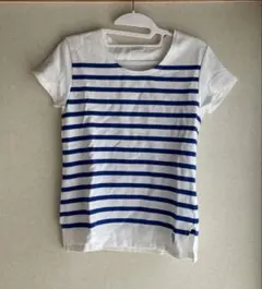 オーシバル　半袖バスクTシャツ