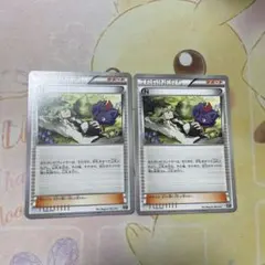 N XY ノーマル