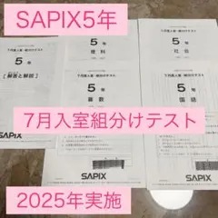 2026年最新】サピックス 5年 テスト 7月 組分けの人気アイテム - メルカリ