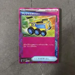 プレシャスキャリー ACE テラスタイプ