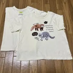 半袖Tシャツ 同柄２枚セット