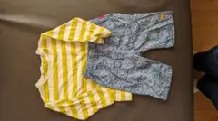 ボーダーシャツ ハーフパンツ セット