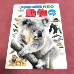 bluesky様 リクエスト 2点 まとめ商品