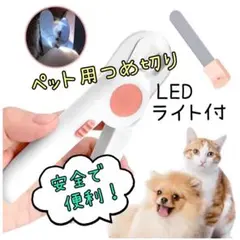 Item thumbnail for item a6b8beef-3cb0-434f-af3b-83a89e72ff56