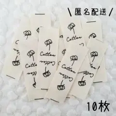 Item thumbnail for item 86d8910f-0304-4787-b8a6-ebaccac83197