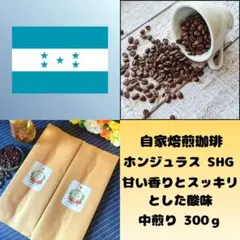 【自家焙煎珈琲】ホンジュラス SHG 300g