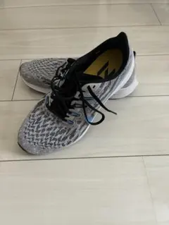NIKE ランニングシューズ グレー系　ペガサス　お値下げしました！