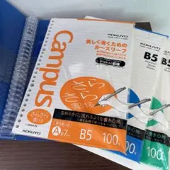 Item thumbnail for item b3339c47-5d9a-4040-b3e1-8f6f59d52761