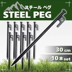 スチールペグ 30cm 10本 キャンプ テント 鍛造 タープ フック 軽量のサムネイル