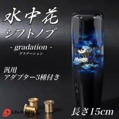 2026年最新】水中花 当時物の人気アイテム - メルカリ