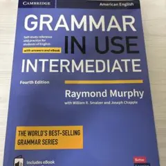 グラマーインユース