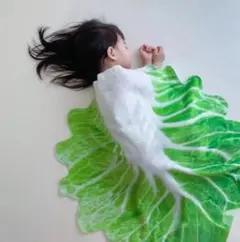 Item thumbnail for item 2f43e0b4-0ac7-4f43-aa7c-1d0bef818612