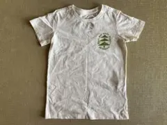 Item thumbnail for item 52b48a04-1ed5-4abf-8cad-5caadaa83bb4