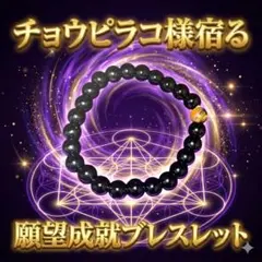 金運ブレス チョウピラコ 金運 宝くじ 特級呪物 億万長者 縁起物 高額