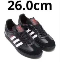 2025年最新】クレイジーラクーン サンバの人気アイテム - メルカリ