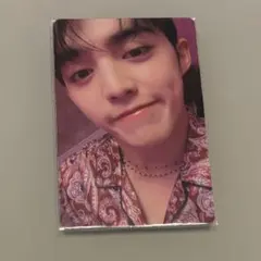 seventeen セブチ シーグリ 2023 エスクプス トレカ