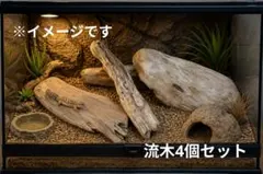 遠州灘天然流木 4本セット 爬虫類 レイアウト インテリア素材 D-9のサムネイル