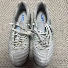 ASICS DS LIGHT X FLY PRO 25.5cm