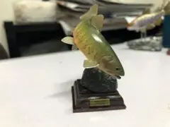 ネイチャーテクニカラー 日本の清流 原色淡水魚図鑑 ヤマトイワナ