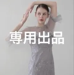 専用出品