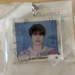 2025年最新】nct ジョンウ アクキーの人気アイテム - メルカリ