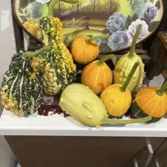 観賞用おもちゃかぼちゃ