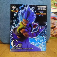 カズ様 リクエスト 2点 まとめ商品