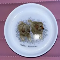 Item thumbnail for item 1ea4e018-4151-4ba6-84e0-dde7214968b1