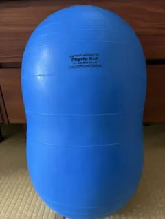 ダンノ フィジオロール 30 DANNO D5424