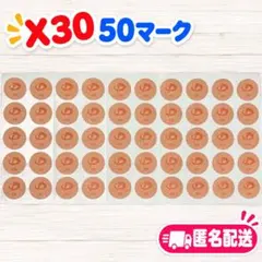 ファイテン パワーテープ X30 50マーク ⑤