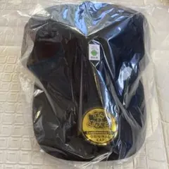 h*ೄ様 非売品　エディオン予約限定　オリジナルキャップ　ぽこあポケモン