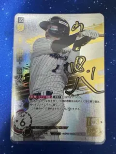 ssp スポーツカード