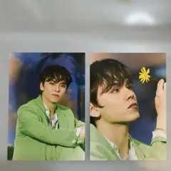 Seventeen Sector 17 ポスカ　バーノン