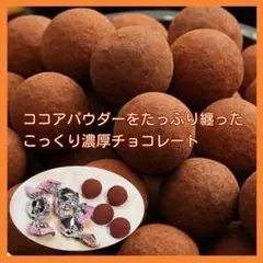 ■大容量たっぷり■こっくり濃厚チョコレート■モンロワール　ココアミルク■のサムネイル
