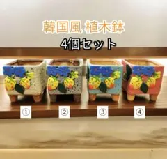 新品 花柄植木鉢 4個セット 多肉植物 サボテン植木鉢