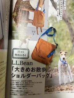 Item thumbnail for item 9c8bd0e4-748d-437d-8e17-41159feb0541