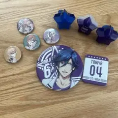 プリライ6th 缶バッジセット