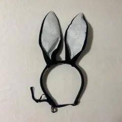 Item thumbnail for item 7a4709f0-1848-4c68-aa8e-79acff71b4a8