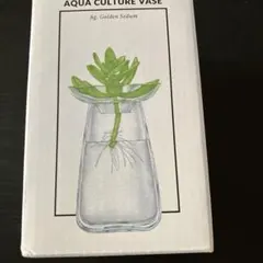 AQUA CULTURE VASE アクアカルチャー ベースのサムネイル