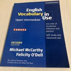English vocabulary in use