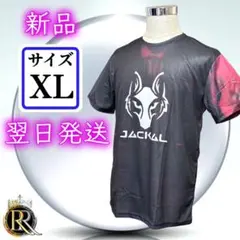 Item thumbnail for item 01cf7afa-08f3-444c-bcfc-734e41718dc5