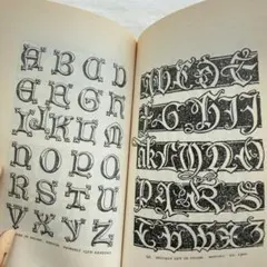 刻まれた美しい文字集ꕤアルファベットの歴史ꕤ古代から20世紀初頭までꕤ洋書のサムネイル