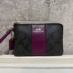 【最終値下げ】COACH レザー ポーチ　インナーポーチ【限定カラー】