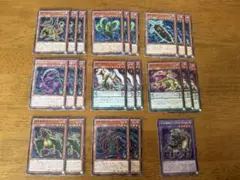 遊戯王⭐️捕食植物デッキパーツ33枚セット⭐️美品⭐️ノーマルと字レア